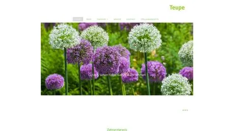 Christoph Teupe Zahnarzt in Detmold ansehen